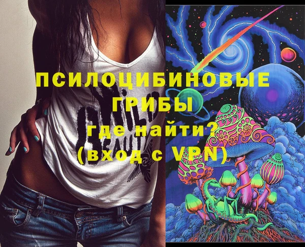 сатива Алексеевка