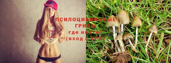 сатива Алексеевка