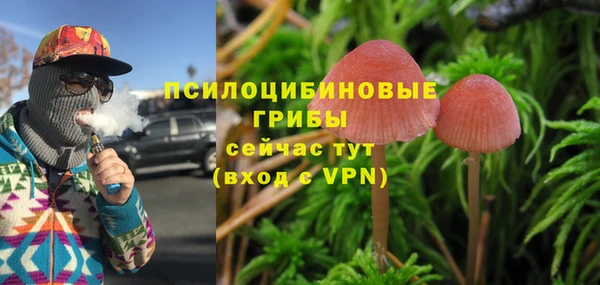 сатива Алексеевка