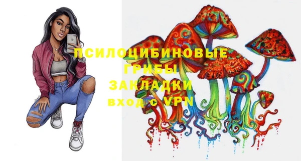 стафф Алзамай