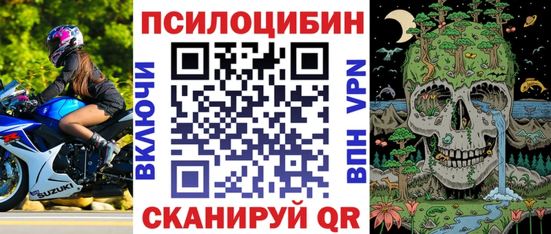 shop официальный сайт  Саранск  Галлюциногенные грибы мицелий  цены  