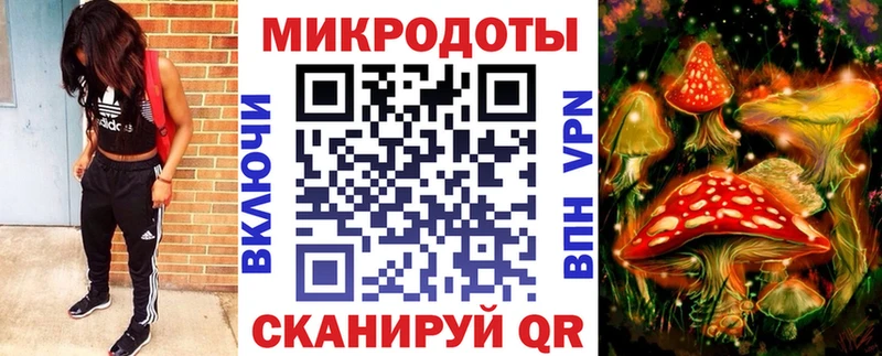 Галлюциногенные грибы Cubensis Саранск